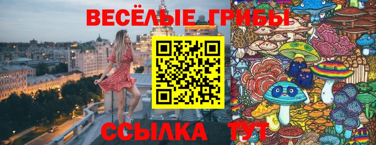 Галлюциногенные грибы прущие грибы Киреевск
