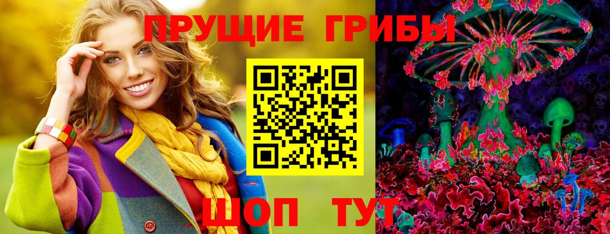 Галлюциногенные грибы прущие грибы  Вход с VPN  Киреевск  Галлюциногенные грибы мухоморы 